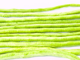 Yardlong bean, Vigna unguiculata subsp. sesquipedalis, isolated