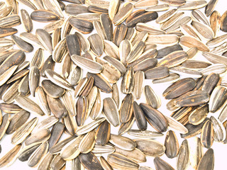 Sunflower seeds isolated on white background as background