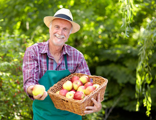 Gardener with straw hat presenting apple