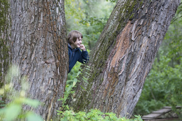 Boy playing in the trees