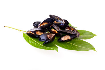 Stewed Mussels