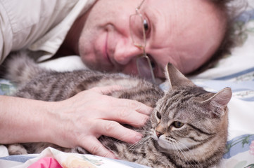 Old man pets a Scottish-straight gray beautiful cat