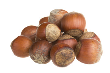 Fototapeta premium Dried hazelnuts