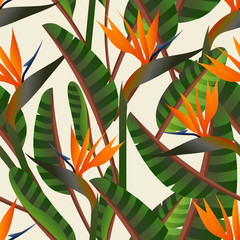 Bird of the paradise flower pattern