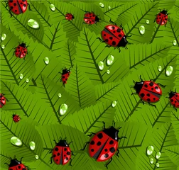 Foto op Plexiglas Lente bladeren en lieveheersbeestje patroon © Cienpies Design