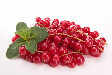 isolated redcurrant