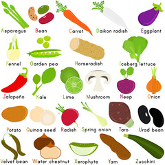 Vector Icons of Vegetable with Alphabet A to Z