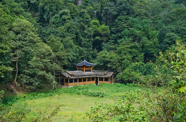 Green forest and huts