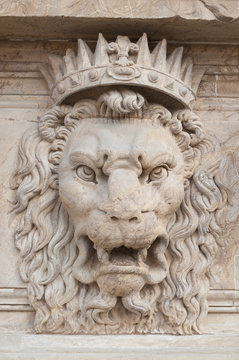 Decoration Lion's Head