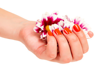 manicure on hands