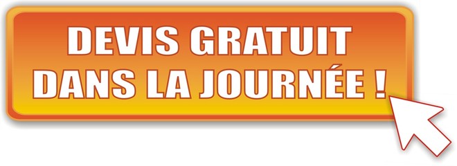 bouton devis gratuit dans la journée