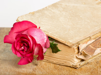 Old book and rose