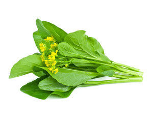 Chinese cabbage