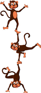 monkey's cartoon attraction