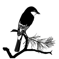 Small bird on a tree branch