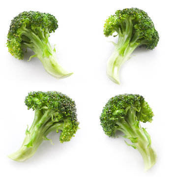collection of broccoli isolated on white