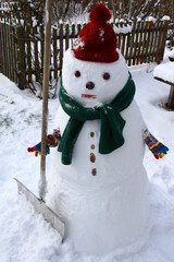 schneemann &