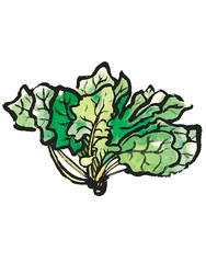 ほうれん草