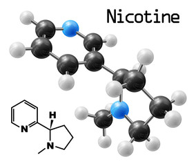Obraz premium nicotine molecule