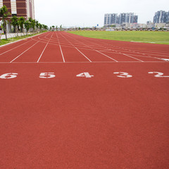 stadium