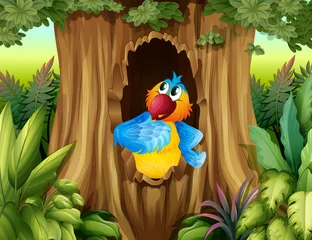 Keuken foto achterwand Een papegaai in een holle boom © GraphicsRF