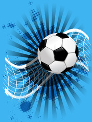 soccer ball and net on blue