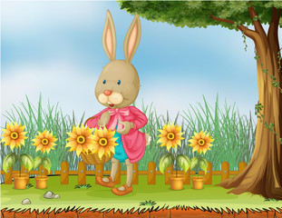 A bunny in the garden with sunflowers