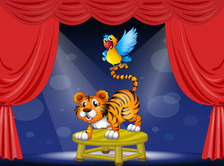 Naklejka premium A tiger and a colorful parrot performing on the stage