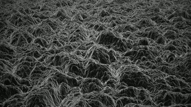 Electron Microscope view of an alien surface.