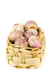 Knoblauch