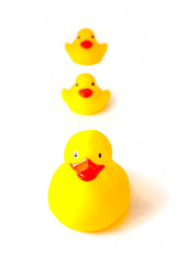 rubber ducks