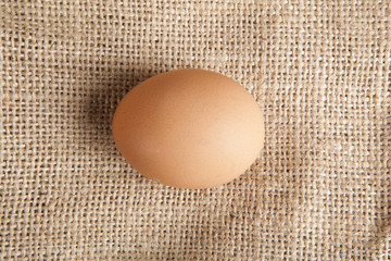 egg laying on jute