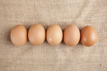 line of eggs laying on jute