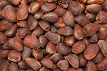 Cedar nuts. Background