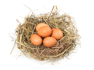 Brown eggs in a nest on a white