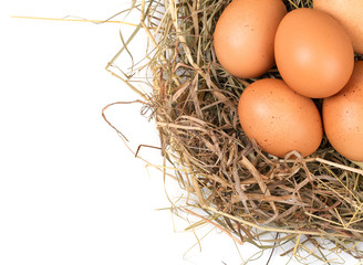 Brown eggs in a nest on a white