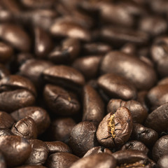 Coffee beans