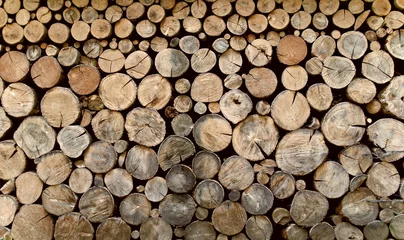 Möbelaufkleber Firewood saved for the winter © kasha_malasha