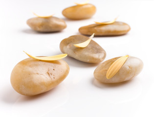 Spa stones.