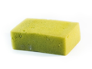 Old Sponge side