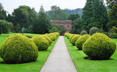 Path through a formal English Garden