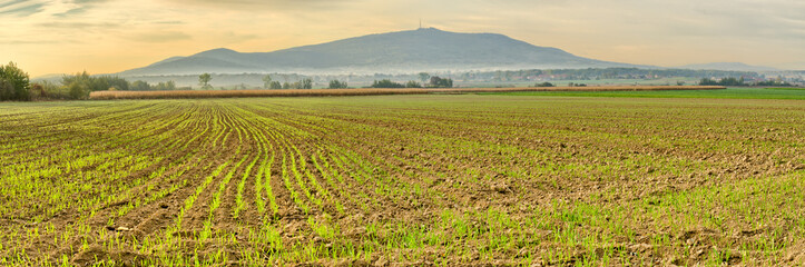 Panorama with field and Sleza Mountain, Poland - obrazy, fototapety, plakaty