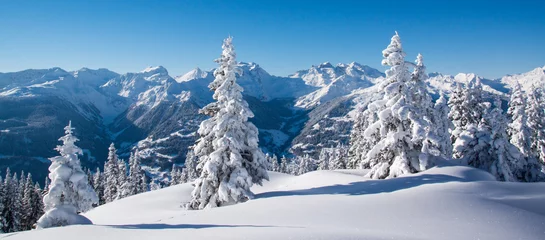 Deurstickers Winterlandschap in de bergen © Netzer Johannes