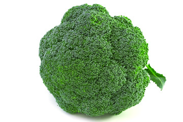 broccoli on white background