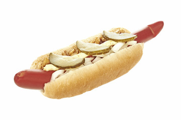 Hotdog on white background