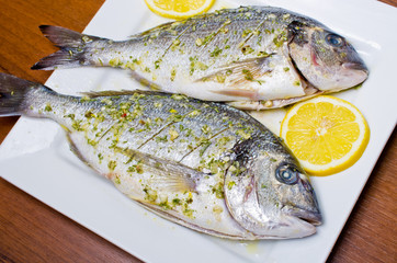 Marinated gilthead fishes