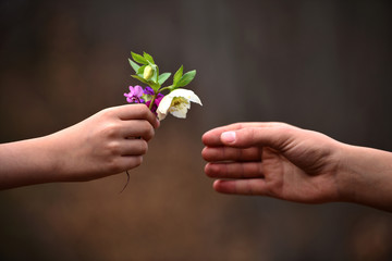 child's hand giving flowers to his father