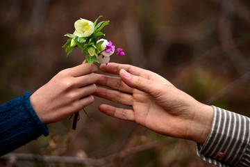 child's hand giving flowers to his father