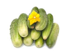 Cucumbers.