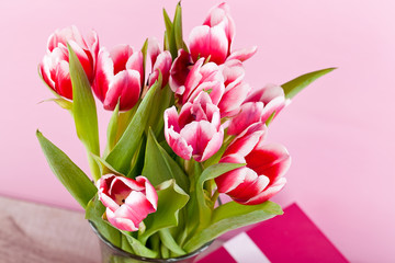 Obraz premium rosa und weisse tulpen festlich geschenk pink oster
